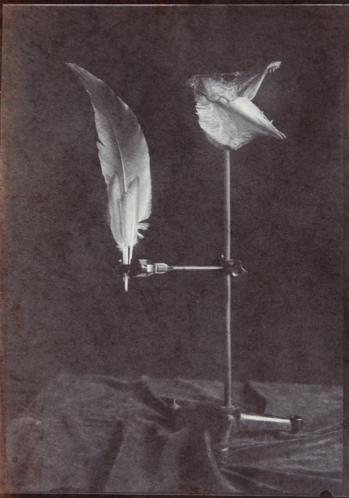 Marek_Noniewicz - wystawa prac absolwentów fotografii UAP