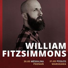 William Fitzsimmons - Poznań