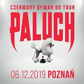 Paluch - Poznań